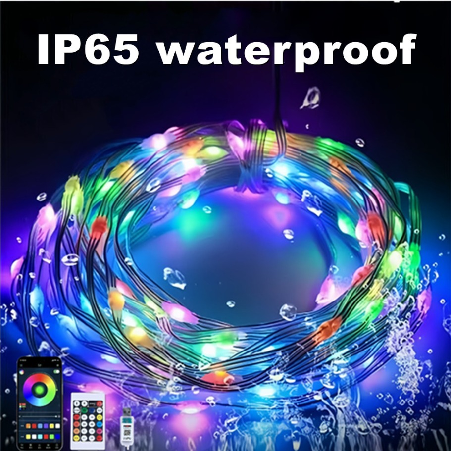 WS2812B LED chaîne lumineuse i - Led Fairy String Lights avis et prix